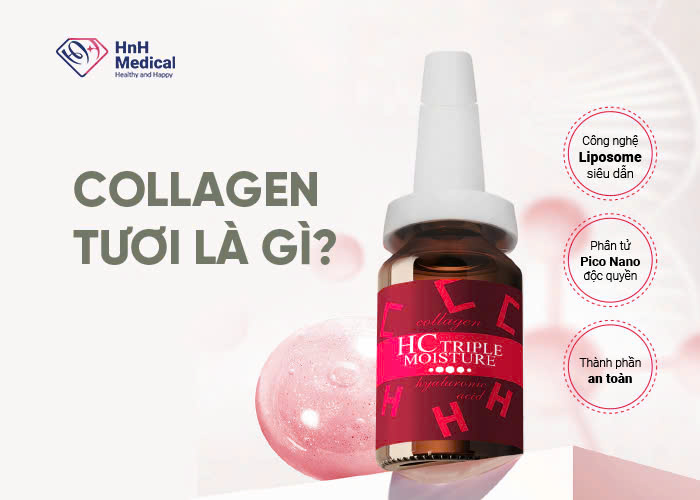 Collagen tươi là gì?